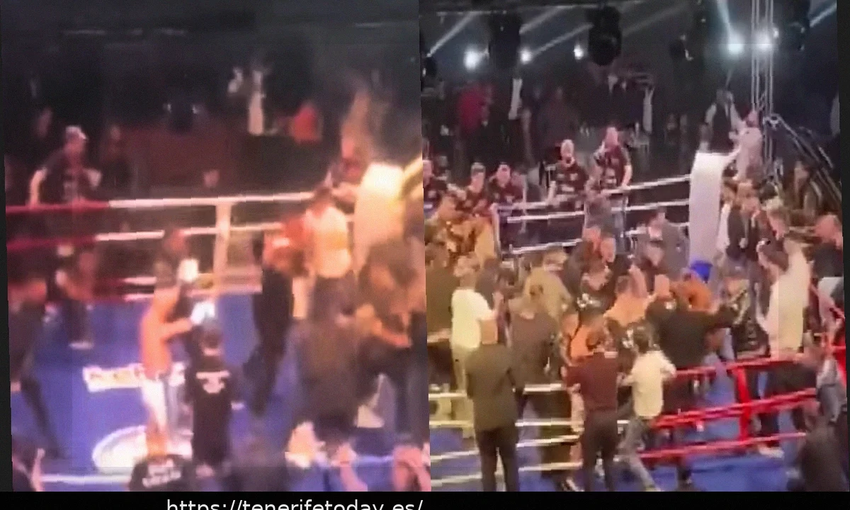 Caos en evento de boxeo turco tras polémico final